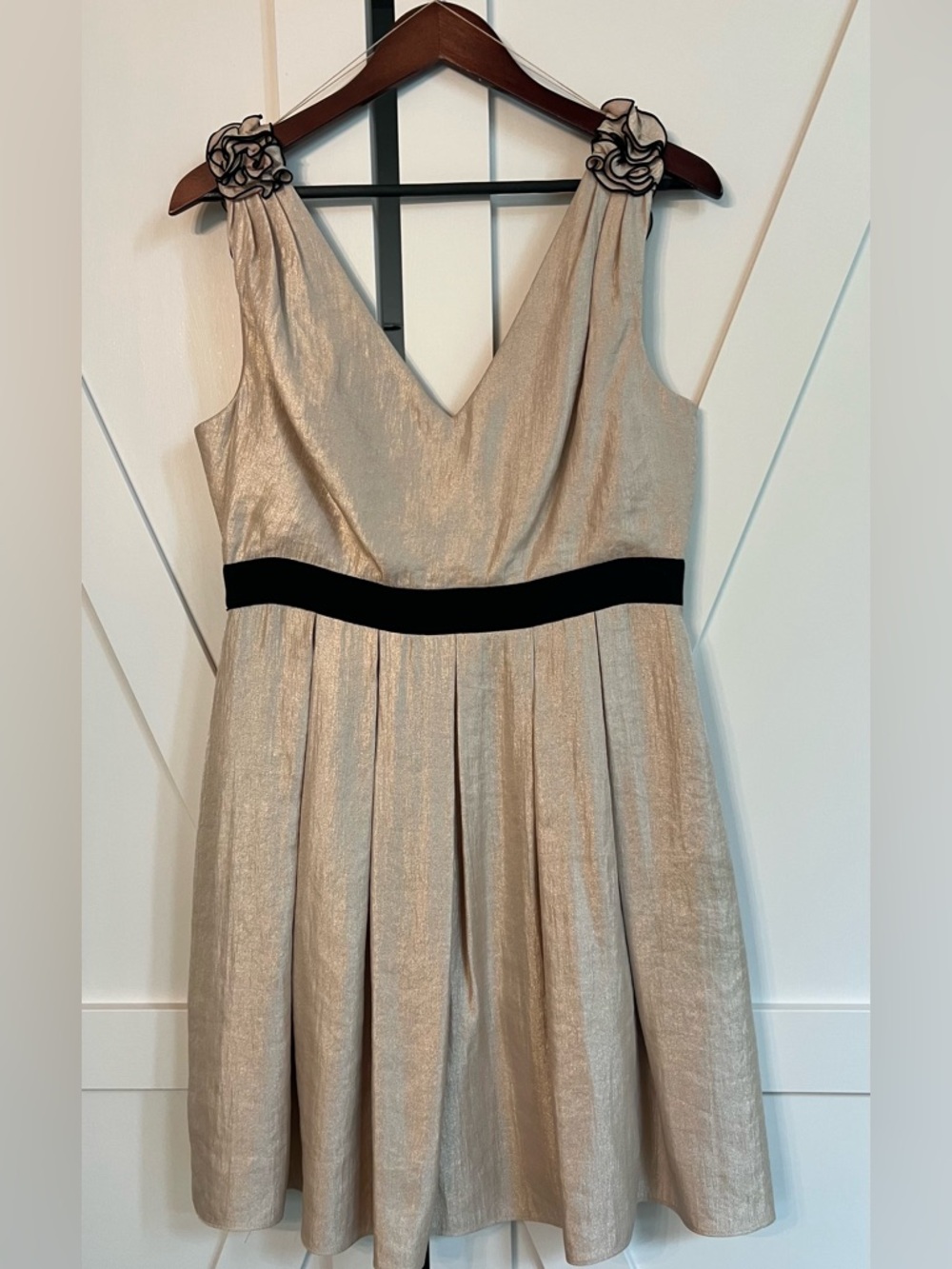 Adrianna Papell Metallic Champagne Midi Dress with Black Waistband